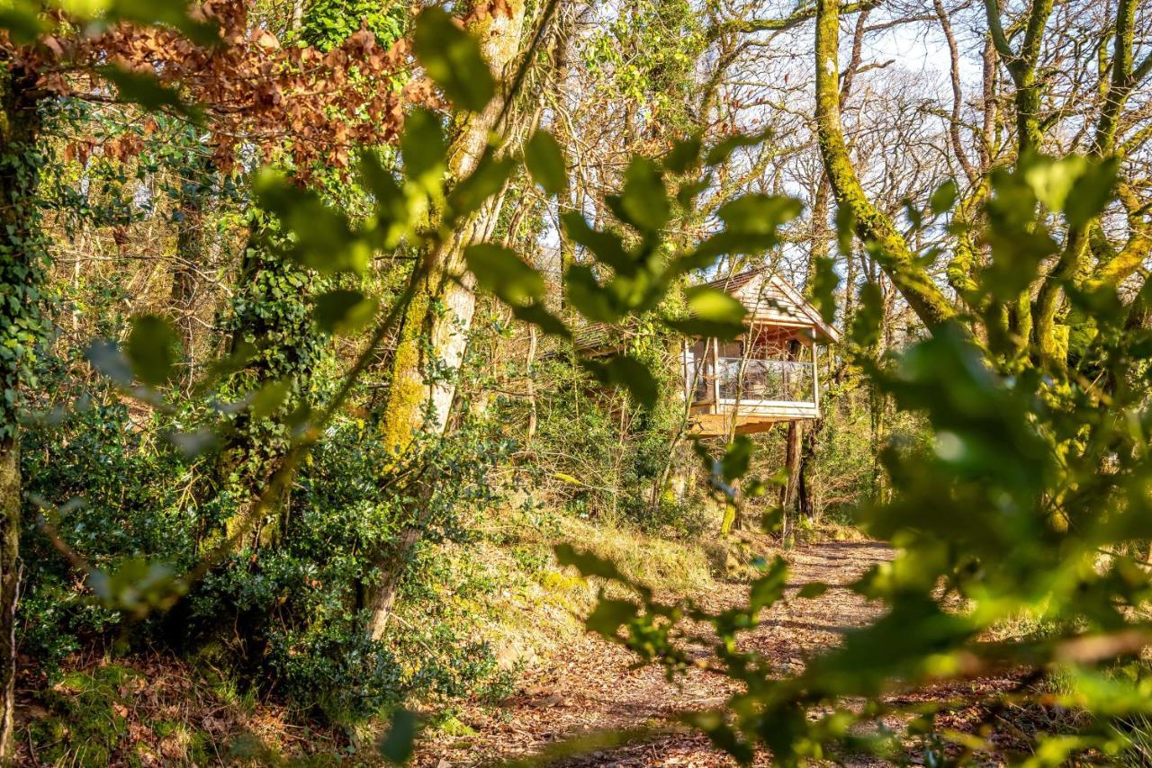Finest Retreats - The Tree House - Eco-Friendly, Back To Nature Experience Germansweek Exteriör bild